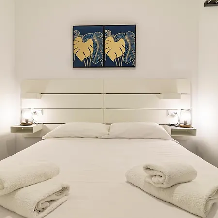 Allo Arroyo Catedral *