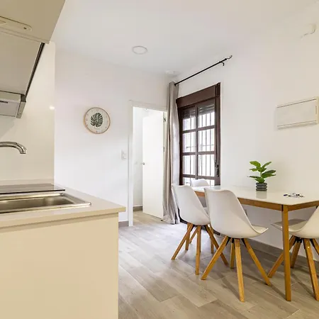 Allo Arroyo Catedral Апартаменти Херес-де-ла-Фронтера