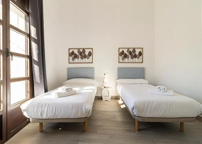 Allo Arroyo Catedral * 赫雷斯