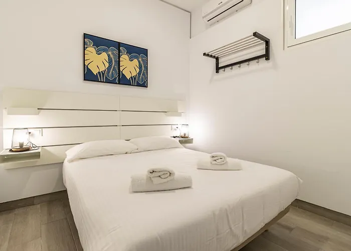 Allo Arroyo Catedral * 赫雷斯