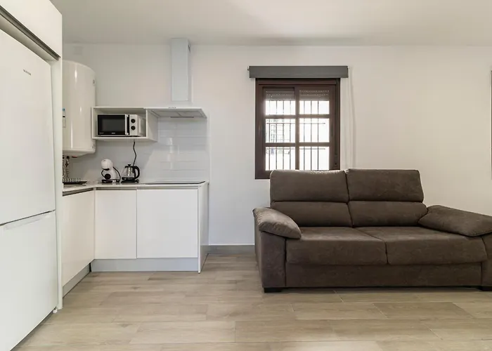 Allo Arroyo Catedral *