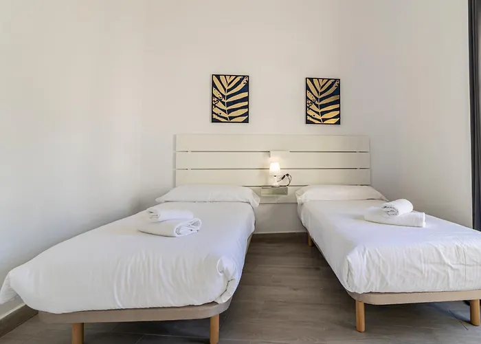 Allo Arroyo Catedral Jerez de la Frontera