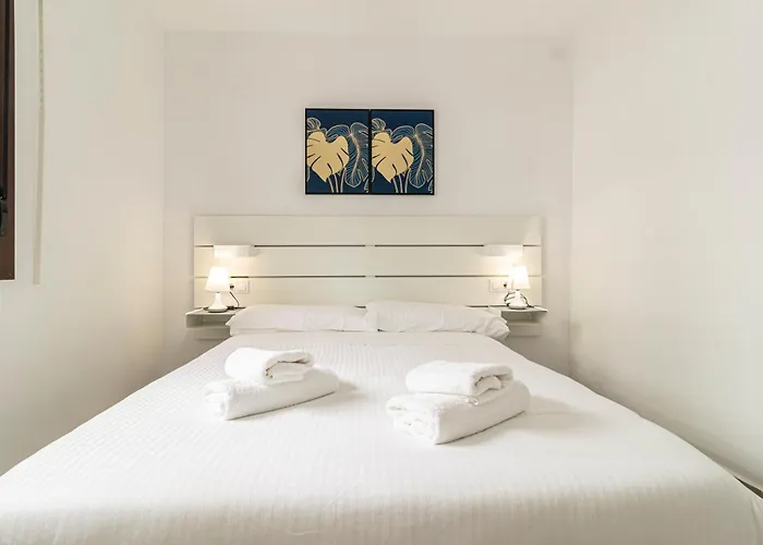 Allo Arroyo Catedral