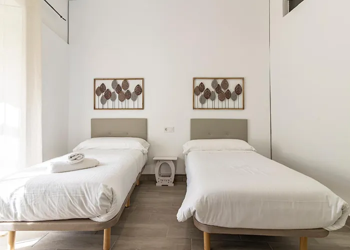 Allo Arroyo Catedral Jerez de la Frontera