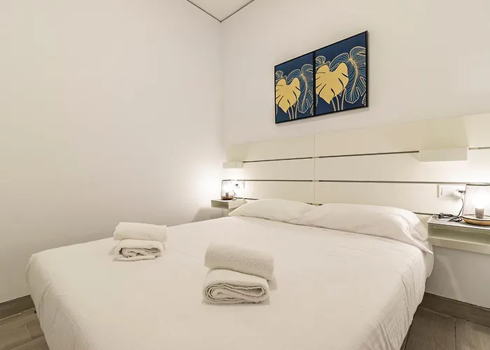 Allo Arroyo Catedral